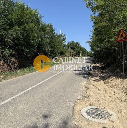 Teren Aroneanu 7200 sau 14.400 mp - toate utilitatile - la asfalt - Poză 2