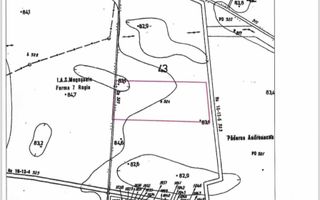 Teren Intravilan-40.000mp Voluntari-Dezvoltare Mixtă (P+2+M) - Poză 2