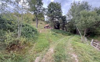 Teren de investiție în Moieciu, lângă Castelul Bran – 11.381 mp, vedere Bucegi - Poză 7