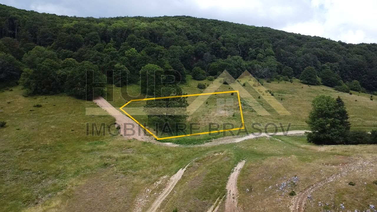 Teren Intravilan | Poiana Brasov | 5.000mp | Necesar PUZ - Poză 2