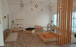 Spatiu comercial cu gradina I Selimbar - Poză 1