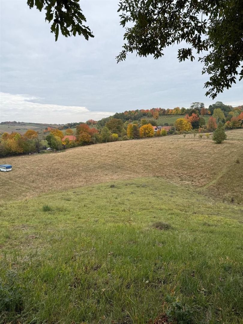 Teren intravilan 17,265 mp in Tomnatic comuna Vadu Crisului - Poză 3