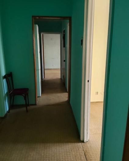 Apartament 3 camere. Cu 2 bai. Zona Parc Tineretului. - Poză 5