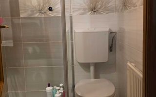Apartament premium cu 3 camere, 100 mp, 2 băi, mobilat, utilat. - Poză 6