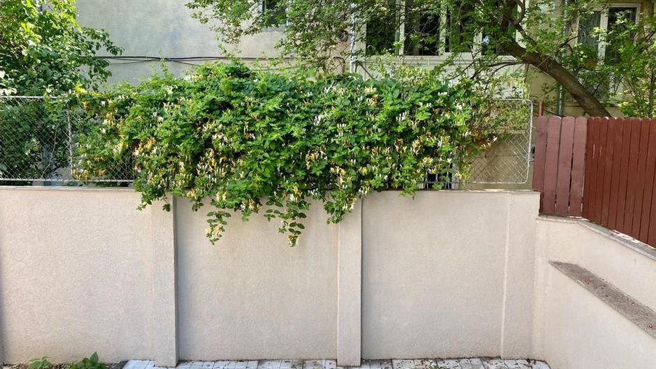 Refugiu Urban cu Eleganță Clasică – Vilă Renovată în Inima Primăverii - Poză 17