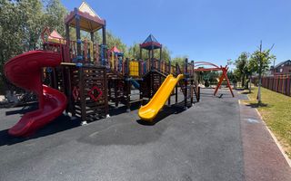 Vila Volutari 5 Camere Matei Millo - Poză 25