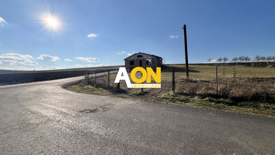 2,314 Mp in Daia Romana, toate utilitatile la asfalt, 80ml deschidere - Poză 7