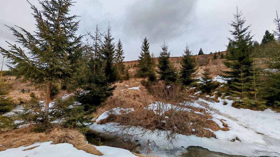 7.858 mp Teren Rar cu Pârâu și Izvoare, Beliș-Fântânele, Cluj - Poză 6