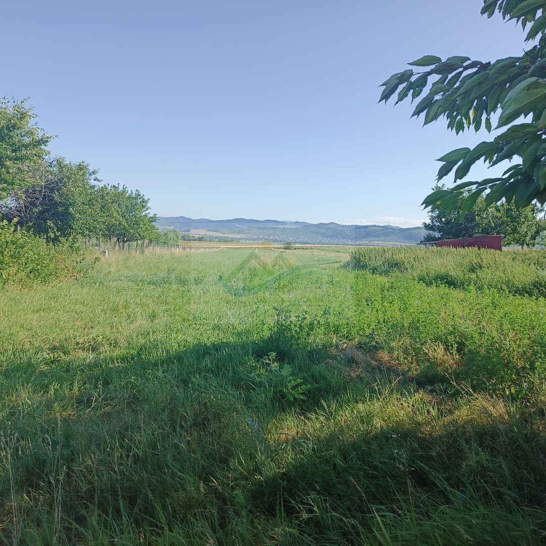 Teren intravilan Berchisesti 4400 mp - Poză 1