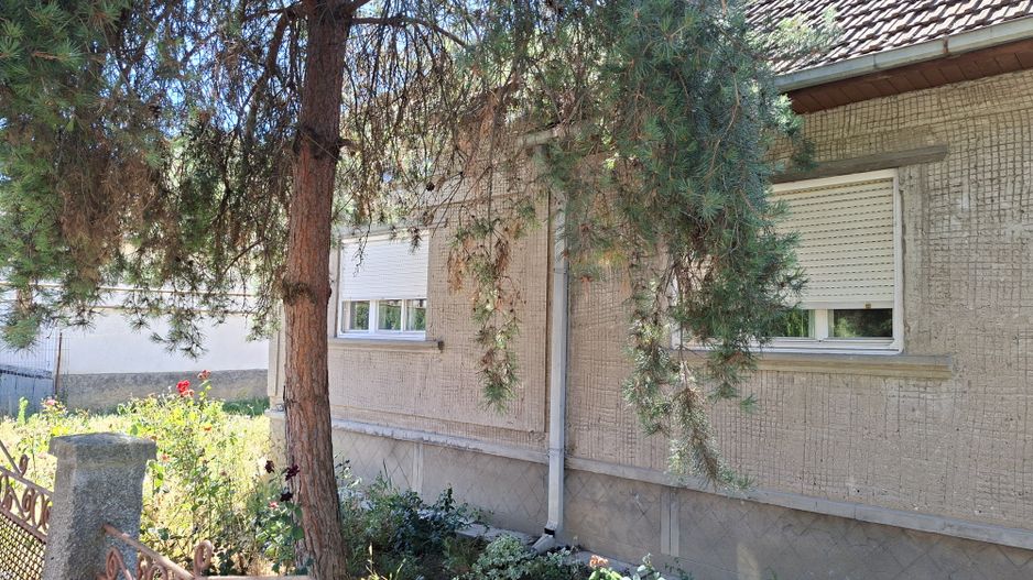 BRASADAS vinde casa 3 cam cu teren 5 ari in 14 Mai. - Poză 3