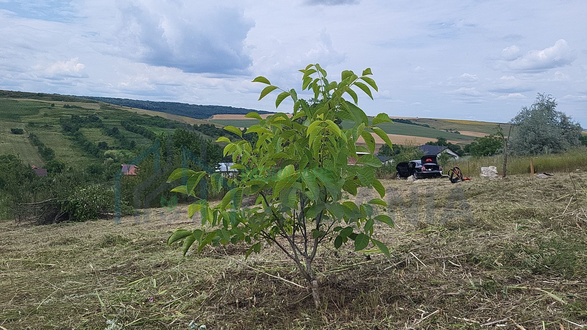 Teren intravilan 869 mp - Poză 4