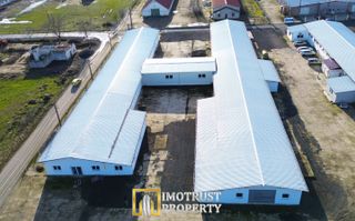 HALA INDUSTRIALA DE INCHIRIAT | PECICA – ARAD - Poză 7