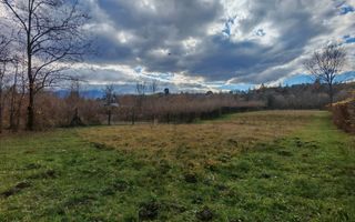 Teren de vanzare în reprezentare exclusivă, situat pe Valea Avrigului! - Poză 3