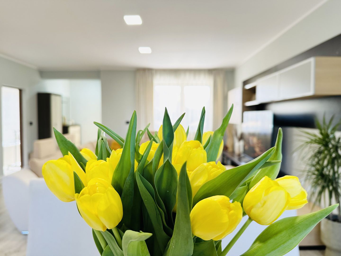 Oferta Inchiriata - Casa Segmentul Premium, 180 mp | Garaj&Gradina | Fropin - Poză 4