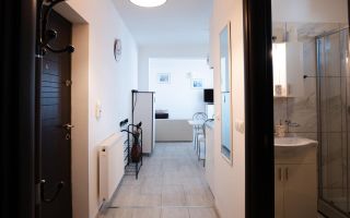 Închiriere apartament 2 camere tip studio – Strada Teleajen, Sector 2 - Poză 7