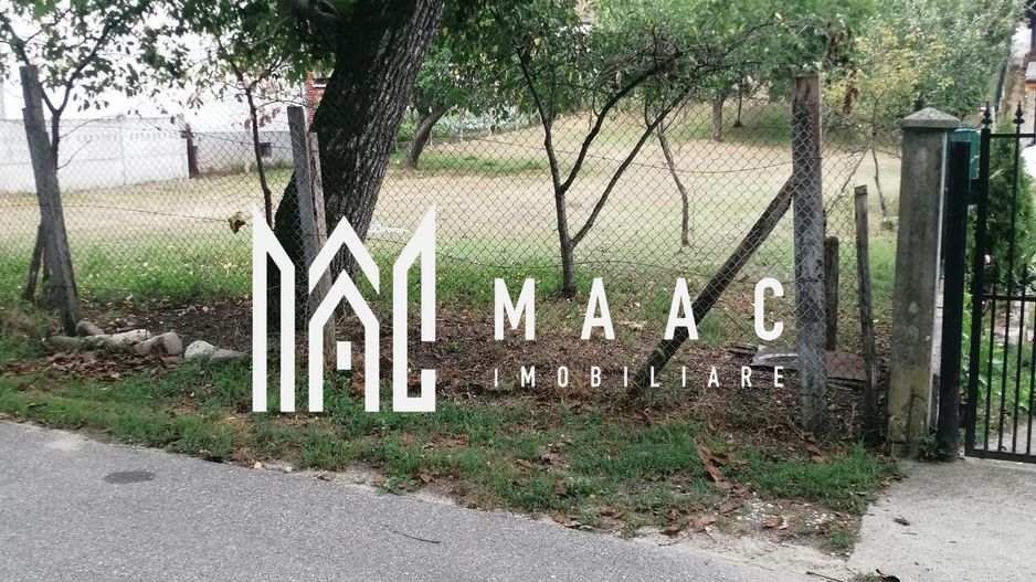 Teren Intravilan 10.000 mp | Livadă + Pădure de salcâm | Bărbătești - Poză 5