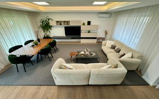 Vila complex privat Erou  Iancu Nicolae - Poză 28