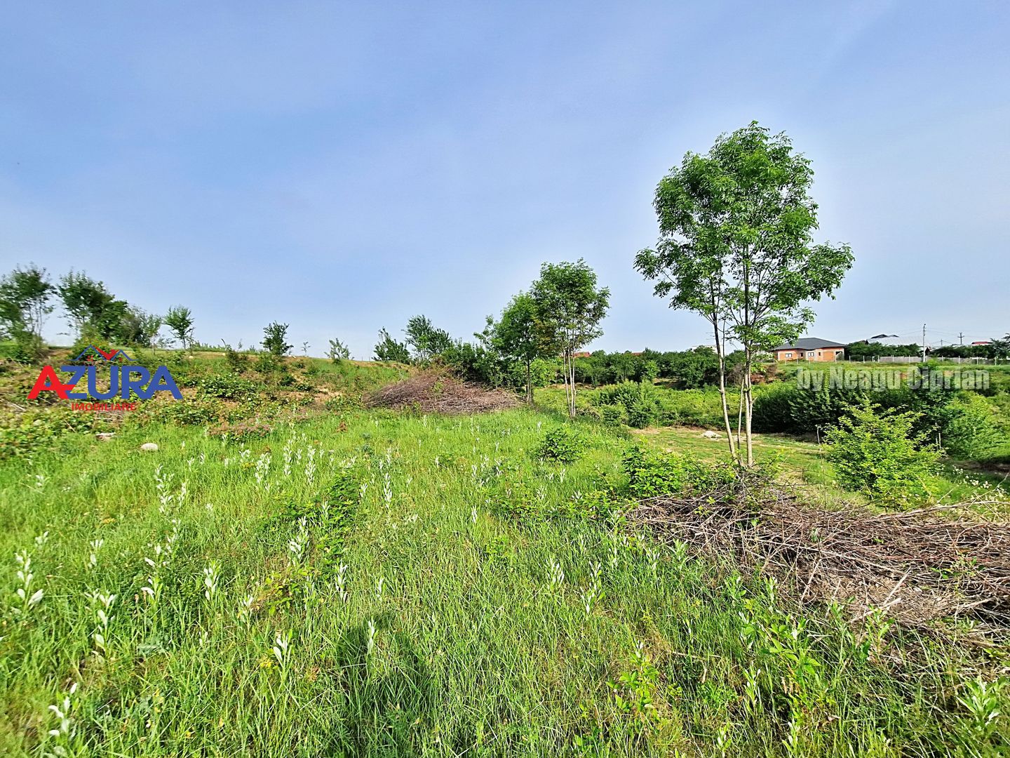 AZURA Imobiliare - Teren Prundu Valea Geamana 700 m de Parc - Poză 5