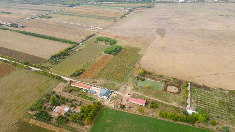 Teren intravilan cu iazuri și casă - Chișineu-Criș - Poză 8