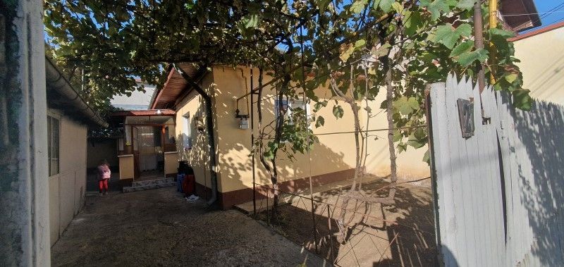 Andronache, str. Turistilor nr. 27 - Poză 3