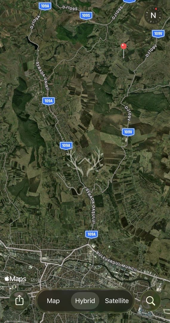 Teren intravilan de vanzare | 2.900 mp | Macicasu, com. Chinteni | La - Poză 2