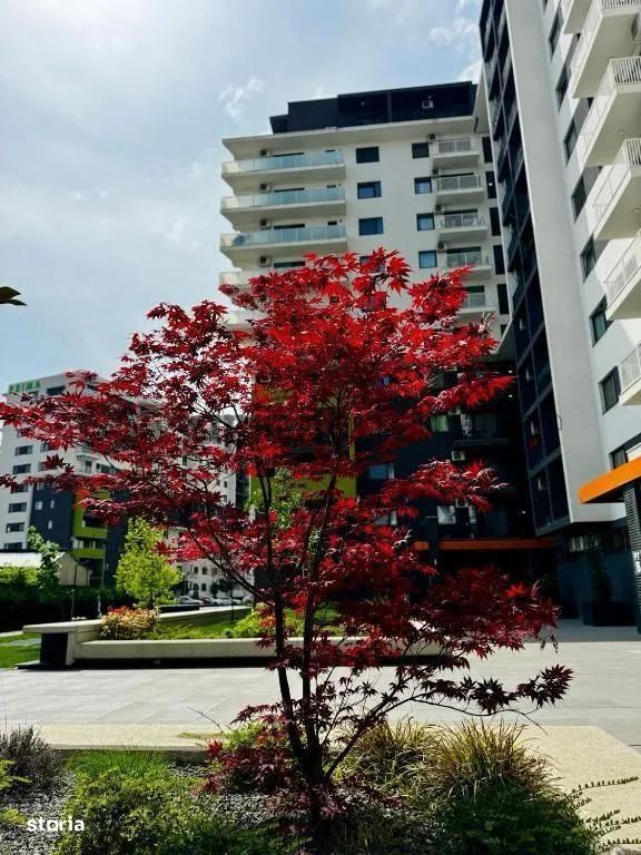 Apartament 2 camere open space în Oradea - Poză 20