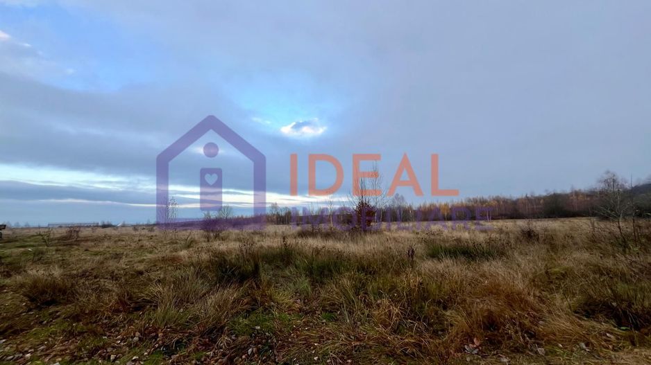 Teren extravilan 6.500 mp – două căi de acces, Cârțișoara - Poză 4