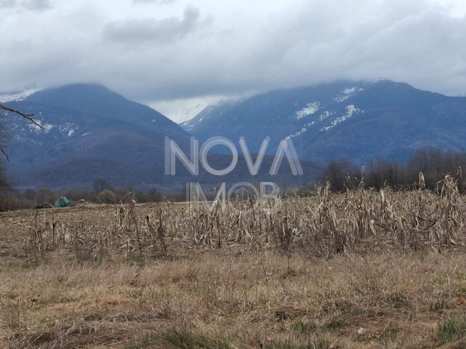 Teren extravilan de vanzare - Arpasul de Sus - Poză 6