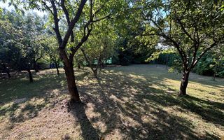 De închiriat casa Făget -teren 2400mp - Poză 5
