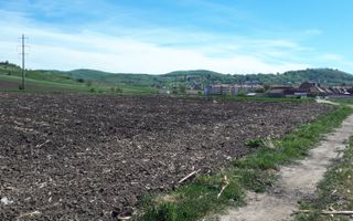 Teren de Vanzare - Extravilan - 23.300mp - Gusterita - 0% Comision - Poză 2