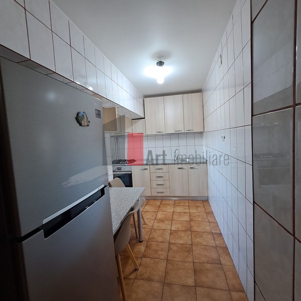 Apartament mobilat 2 camere  Bd. Unirii - Poză 6