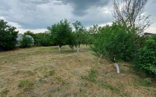 Teren intravilan de vânzare | 900 mp | Movila | Toate utilitatile - Poză 4