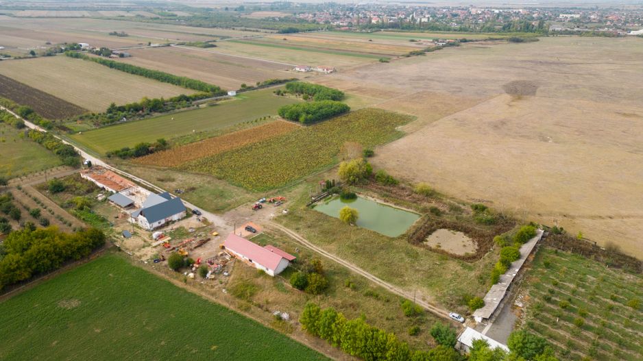 Teren intravilan cu iazuri și casă - Chișineu-Criș - Poză 17