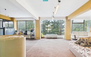 SAD – Calea Aradului, vad excelent - Poză 8