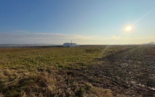 Teren de vanzare in zona Soseaua de Centura, 2.5 HA - Poză 2