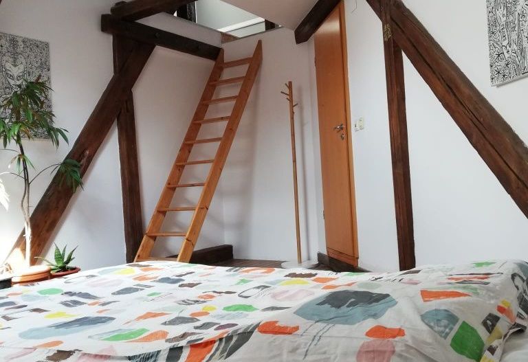 Apartament 4 camere | 175 mp | Bulevardul Victor Babeș | Ideal pentru - Poză 4