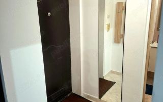 Garsonieră Studio de închiriat Timpuri Noi Pet friendly - Poză 5