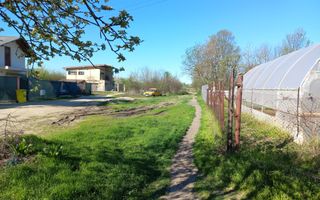 Teren intravilan 2927 mp - com. Domnesti sat Teghes - Poză 5