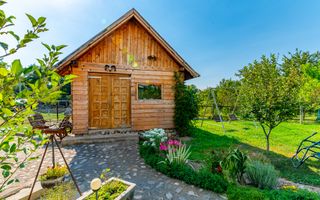 Casa + Pensiune deosebita - Orlat, Sibiu - Poză 65