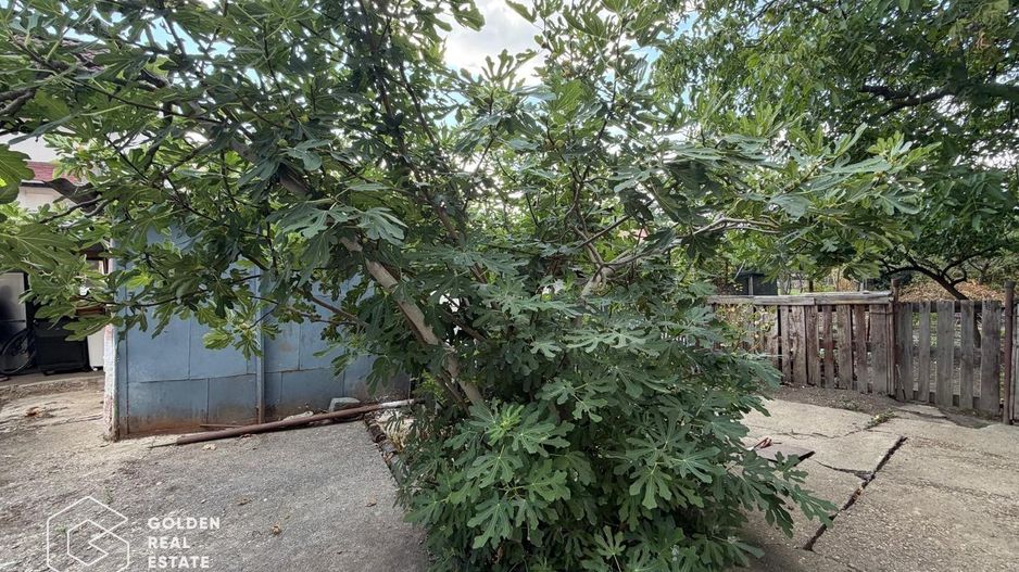 Casa cu doua corpuri de cladire in Gradiste - Poză 16