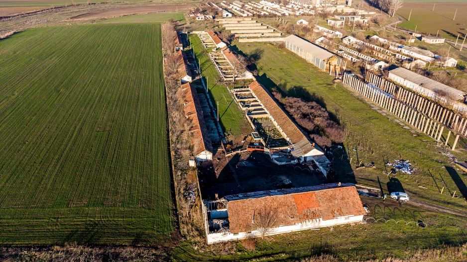 NĂDLAC | Teren 1.15 HA lângă Autostradă | 2.500mp Hale - Poză 4