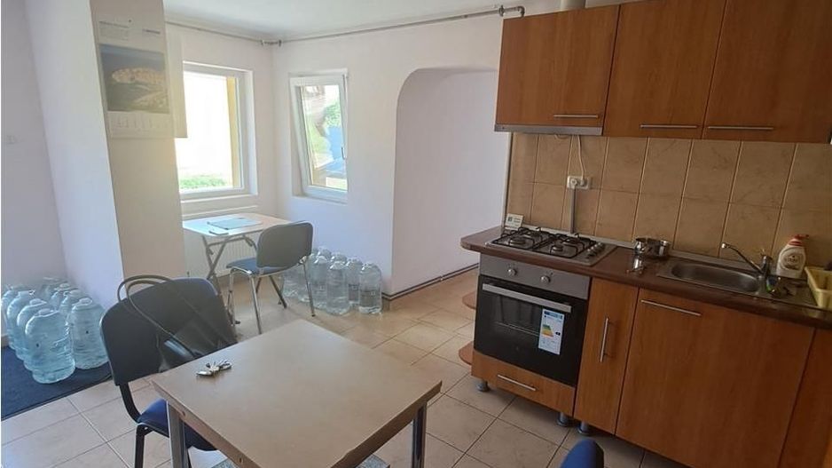 Casa individuala pe parter Sagului-Liviu Rebreanu - Poză 7