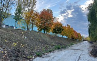 Chirie Spatii industriale / Depozituri - Poză 16