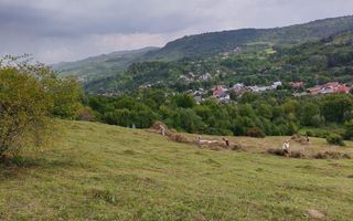 150.000mp Teren cu P.U.Z .de vanzare oportunitate de investitii - Poză 4