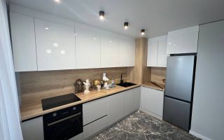 Apartament  cu 1 Cameră + Living pe Bd. Dacia, Botanica - Poză 2