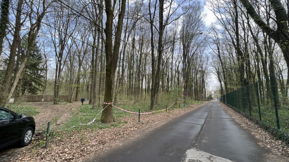 192842 mp teren in Padurea Baneasa proiect exclusivist - Poză 2