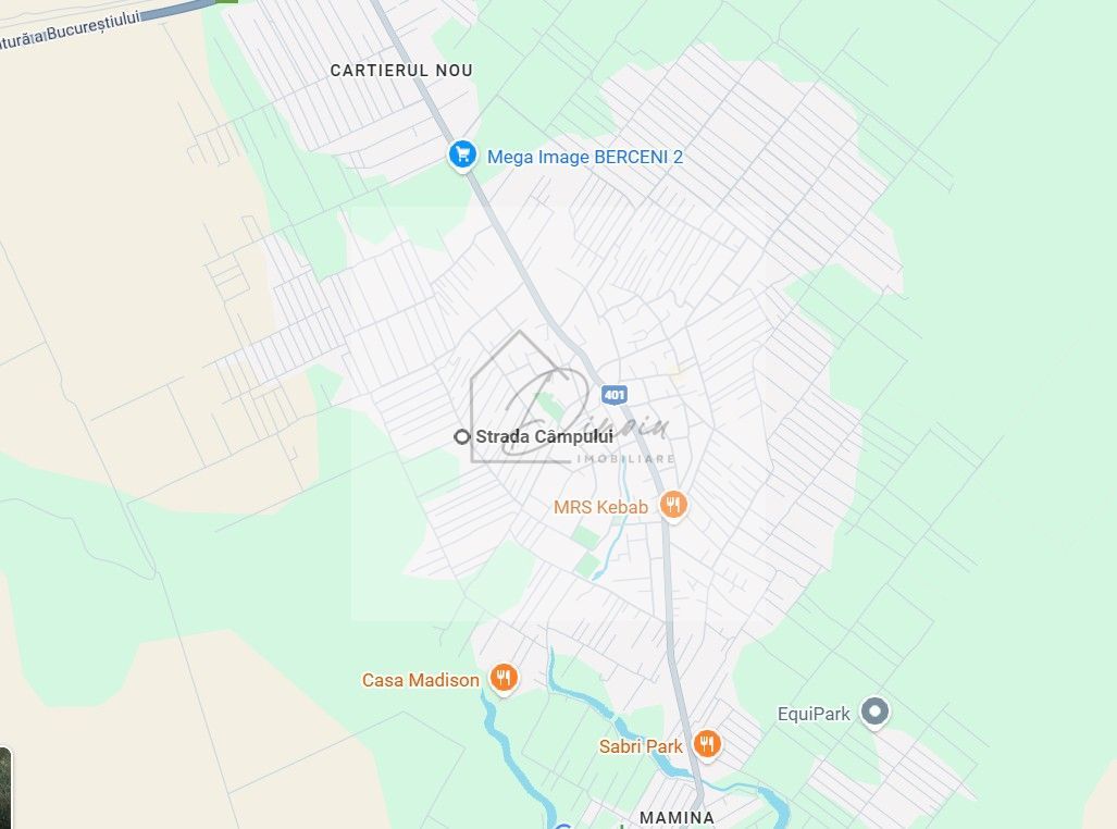 Casa 4 camere Berceni - moderna premium parter - Poză 9