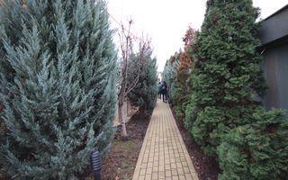 Casa pretabila birouri, camin de batrani - Poză 138