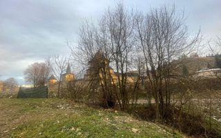 TEREN INTRAVILAN 2,26 HA | SUCEVITA | - Poză 12
