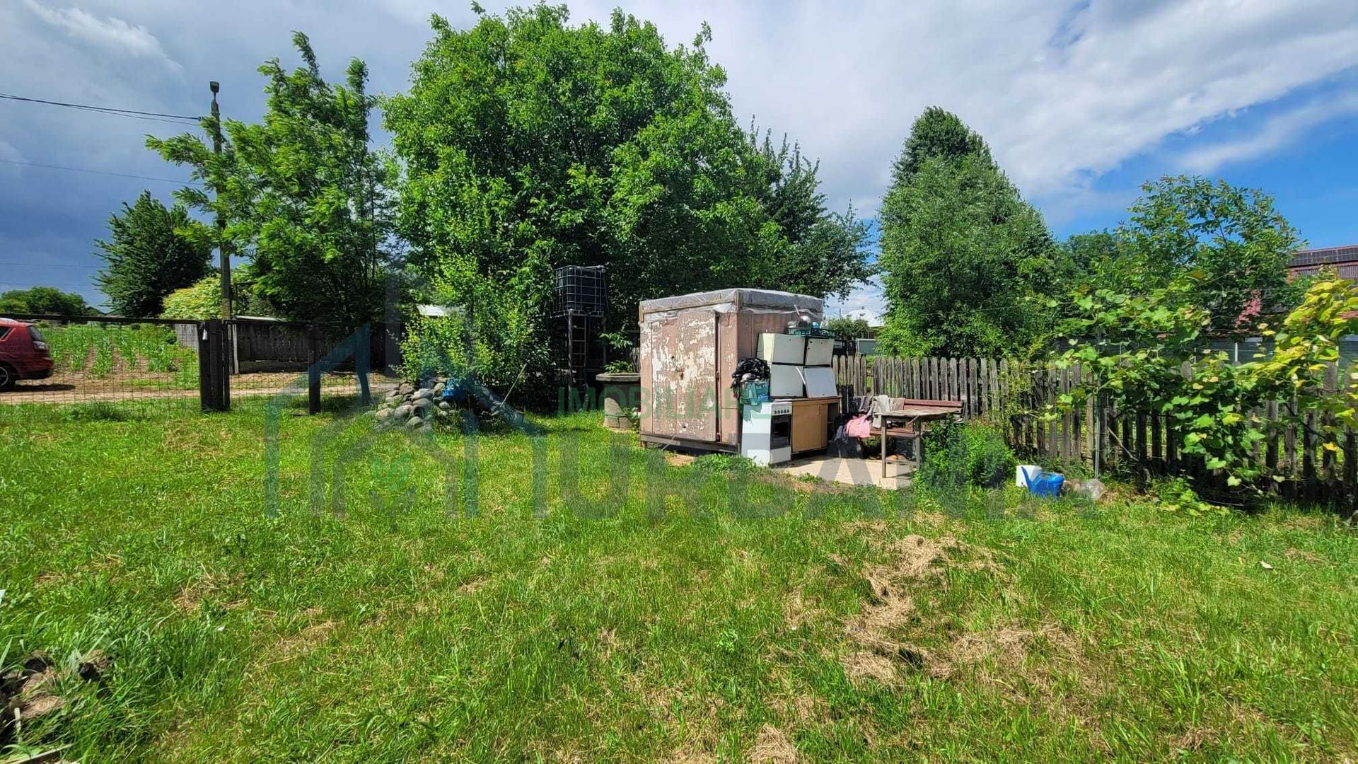 Teren cu vie și livadă, 5442 mp, Contesti (Valea Seaca), Iasi - Poză 3